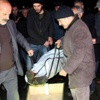Arılar mı öldürdü ?