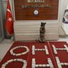 Van'da uyuşturucu operasyonu! Van'da uyuşturucu operasyonu!
