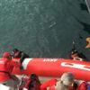 Aydın'da denize düşen yavru kediyi AKUT kurtardı Aydın'da denize düşen yavru kediyi AKUT kurtardı