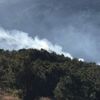 Sındırgı’daki orman yangınında 2 hektarlık alan zarar gördü