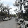 Orman yangınlarında korkutan şüphe Orman yangınlarında korkutan şüphe