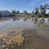 Tunca Nehri alarm veriyor Tunca Nehri alarm veriyor