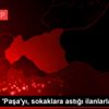 Papağanı Paşa yı, sokaklara astığı ilanlarla arıyor Papağanı Paşa yı, sokaklara astığı ilanlarla arıyor