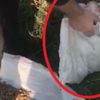 Bursa’da çuvalda ölüme terk edilen yavru köpekleri böyle kurtardılar. İyi insanlar iyi ki var Bursa’da çuvalda ölüme terk edilen yavru köpekleri böyle kurtardılar. İyi insanlar iyi ki var