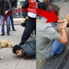Gezi Parkı'ndaki o köpek mi Gezi Parkı'ndaki o köpek mi