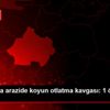 Kütahya da arazide koyun otlatma kavgası: 1 ölü, 2 ... Kütahya da arazide koyun otlatma kavgası: 1 ölü, 2 ...