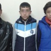 Adanabunu da gördü, eğitim gördükleri okulda hırsızlık yaptılar