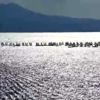 Yelken: 8. Bodrum Uluslararası Optimist Yarışları Yelken: 8. Bodrum Uluslararası Optimist Yarışları