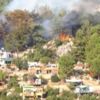 Muğla'da orman yangını: 5 dönüm kül oldu