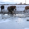 Ardahan eksi 20’yi gördü, Aktaş Gölü buz pisti oldu