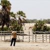 Güney Afrika'da 'beyaz' çiftçi gerginliği Güney Afrika'da 'beyaz' çiftçi gerginliği