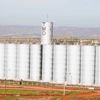 Üretim varsa ithalat olmayacak Üretim varsa ithalat olmayacak