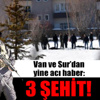 Van’da PKK evine şafak baskını