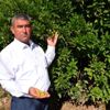 Çöl sıcağı mağduru çiftçilere destek gündemde Çöl sıcağı mağduru çiftçilere destek gündemde
