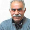 Öcalan, vatandaşlık tanımı yeniden yazdırdı !