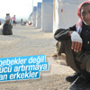 Mülteciler cinsel gücü artırıyor diye mama yiyor