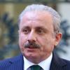 Şentop: "Anayasamızda parti kapatma var"