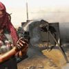 İşte Suriye'deki kirli hesaplar: ABD/PKK işbirliğinde petrol ve doğal gazın işgali! İşte Suriye'deki kirli hesaplar: ABD/PKK işbirliğinde petrol ve doğal gazın işgali!