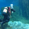 Doğal akvaryumda dalış keyfi Doğal akvaryumda dalış keyfi
