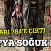 Şırnak'ta teslim olan PKK'lı sayısı 784'e çıktı Şırnak'ta teslim olan PKK'lı sayısı 784'e çıktı