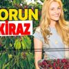 İhracatta rekorun adı kiraz
