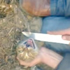 Tuzlu suyla karın doyuran Madayalılar için vahşet çağrısı