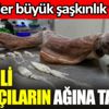 ﻿İzmirli balıkçıların ağına takıldı