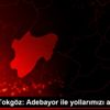Mustafa Tokgöz: Adebayor ile yollarımızı ayırdık