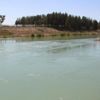 Koyunu kurtarmak isterken canından oldu Koyunu kurtarmak isterken canından oldu