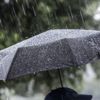 Meteoroloji duyurdu! Bugün hava nasıl olacak? 29 Ocak 2021 hava durumu Meteoroloji duyurdu! Bugün hava nasıl olacak? 29 Ocak 2021 hava durumu