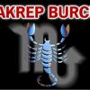 2019'da Akrep burcunu neler bekliyor? 2019'da Akrep burcunu neler bekliyor?