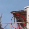 Tanem Sivar’ın köpeklerini zehirleyen şüpheli tutuklandı