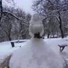 Türkiye'nin en güzel kardan adamları