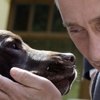Putin'den çocuklara labrador yavrusu Putin'den çocuklara labrador yavrusu