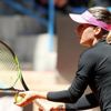 TEB BNP Paribas İstanbul Cup TEB BNP Paribas İstanbul Cup