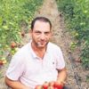 ‘Genç çiftçi’ projesiyle köyüne döndü ‘Genç çiftçi’ projesiyle köyüne döndü