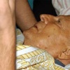Askeri doktorlardan 'Kenan Evren boğularak öldü' iddiasına yanıt Askeri doktorlardan 'Kenan Evren boğularak öldü' iddiasına yanıt