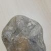 Milyonlarca yıllık fosilleri satmaya çalışırken yakalandılar Milyonlarca yıllık fosilleri satmaya çalışırken yakalandılar