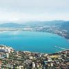 Gelincik alarmı Gelincik alarmı