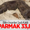 Bu Parmağın Sahibi 5 Metre Boyunda Bu Parmağın Sahibi 5 Metre Boyunda