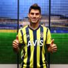 Perotti'den hakkındaki iddialara yanıt Perotti'den hakkındaki iddialara yanıt
