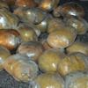 150 kilo eroin ele geçirildi! 150 kilo eroin ele geçirildi!