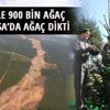 İsteğiyle 900 bin ağaç kesildi, Tayyip Erdoğan ağaç dikti