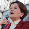 Meral Akşener’den hükümete çağrı!