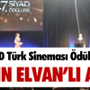 At yarışları At yarışları