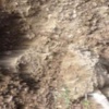 10 yaşındaki kızını canlı canlı toprağa gömerken yakalandı