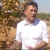 Kuraklık 40 yaşındaki fıstık ağacını kuruttu Kuraklık 40 yaşındaki fıstık ağacını kuruttu