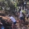 Son dakika: Heybeliada'da orman yangını! Helikopter yönlendirildi