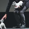 iPhone X fiyatına evcil robot köpek: Evin sakinleriyle duygusal bağ kurabiliyor