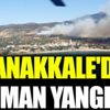﻿Çanakkale’de orman yangını